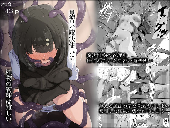 エロ同人| 見習い魔法使いに植物の管理は難しい/作：〔らんぺる〕