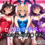 エロ同人| キセカエオナペット -F◯te stay night篇 その2-/作：〔愛玩ファクトリー〕