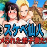 エロ同人| 亀スケベ仙人にハメられた弟子妻たち/作：〔ぶるん〕