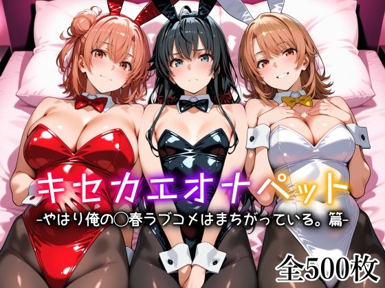 エロ同人| キセカエオナペット -やはり俺の◯春ラブコメはまちがっている篇-/作：〔愛玩ファクトリー〕